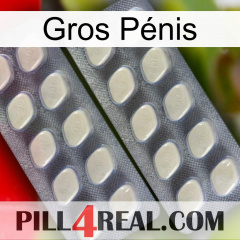 Gros Pénis 07